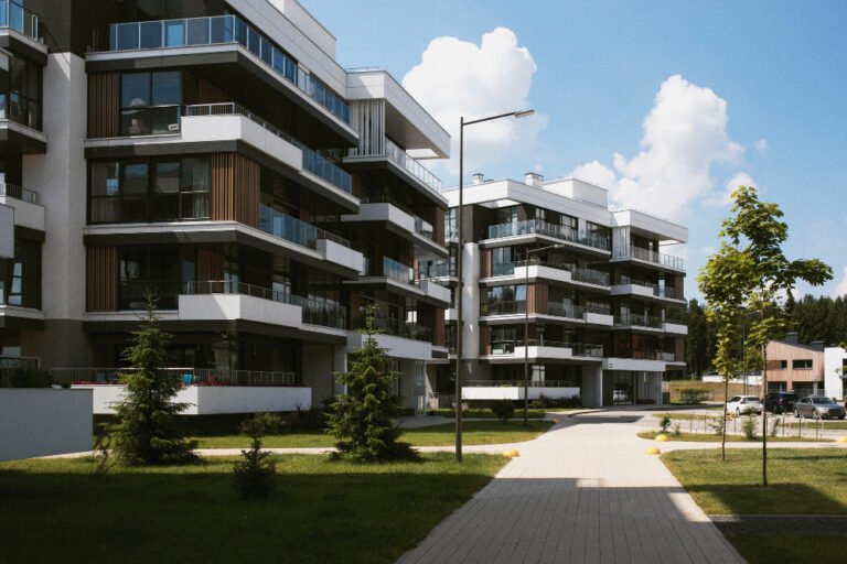 immobilier neuf
