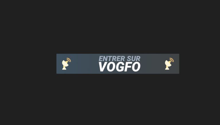 entrer sur Vogfo : capture d'écran de l'interface