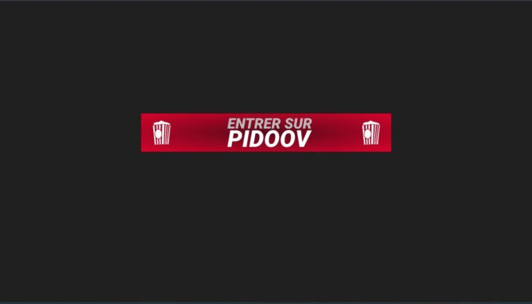 entrer sur Pidoov : capture d'écran de l'interface