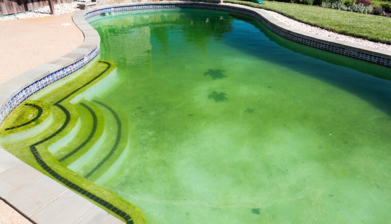 Eau de piscine verte remède de grand-mère