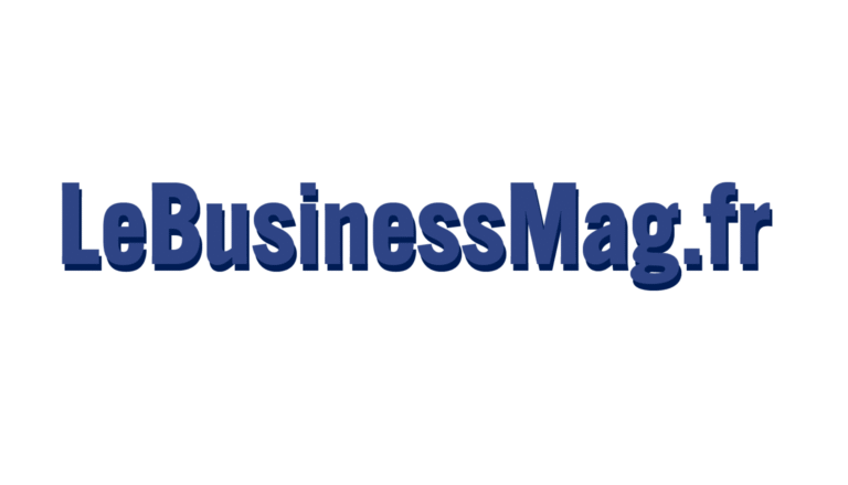 Logo LeBusinessMag.fr