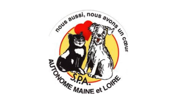 Bien-être, massages, détente, spa, soins, Angers.