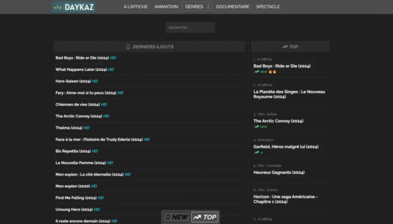 Interface streaming Daykaz films populaires 2025