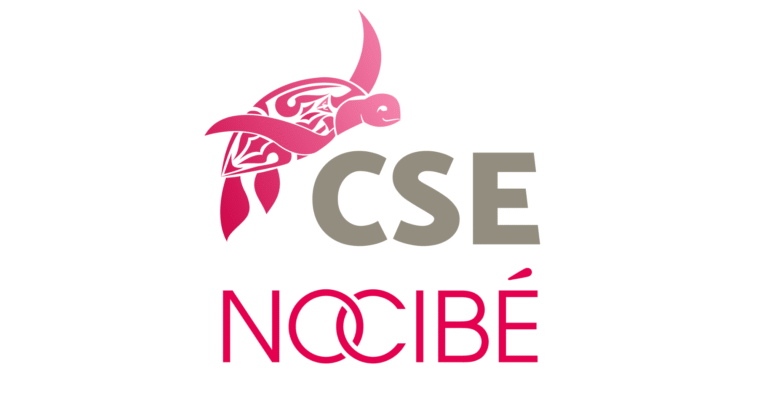 Nocibe CSE : connexion rapide et guide pour profiter de vos avantages Nocibe CSE